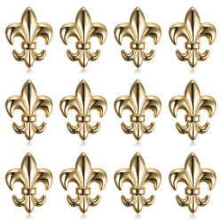 Lot de 12 Pins Fleur de Lys en laiton doré à l'or fin bobijoo